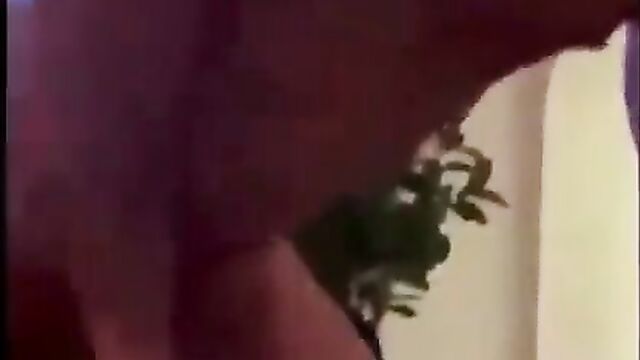 Alleged Old Kylie Jenner & Tyga Sex Tape LEAK