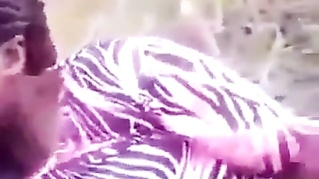 South African Married Couple Caught Making Sex Tape In The Bush - 4 image