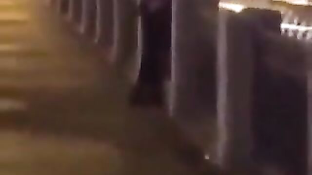 Drunk Couple Caught Having Doggy Style Sex In Public - 3 image