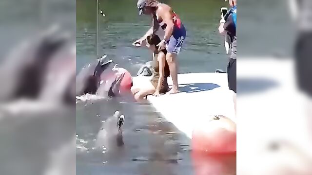 Dolphin Having Sex With Pretty Woman - 1 image