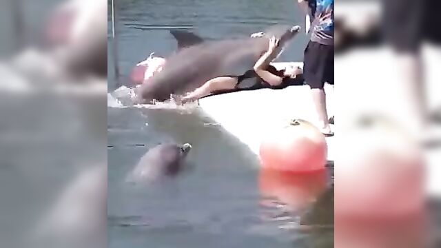 Dolphin Having Sex With Pretty Woman - 3 image