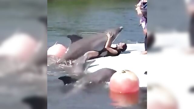 Dolphin Having Sex With Pretty Woman