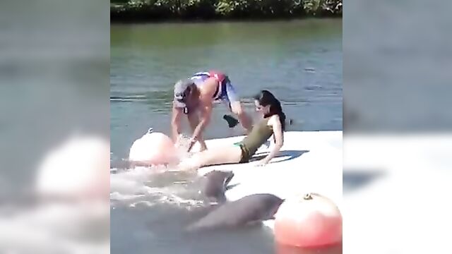 Dolphin Having Sex With Pretty Woman - 5 image