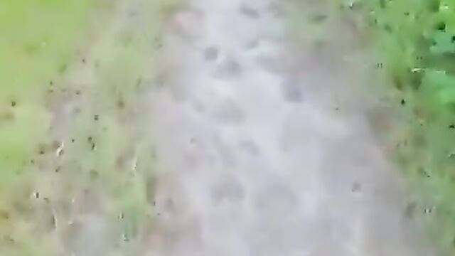 Mzansi Guy Caught Red handed Having Sex With Girl With Big Breasts In The Bush In Public - 1 image