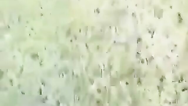 Mzansi Guy Caught Red handed Having Sex With Girl With Big Breasts In The Bush In Public