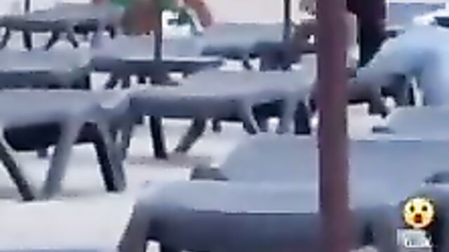 Amateur Porn - Crazy White Couple Caught Having Sex In Public - 1 image