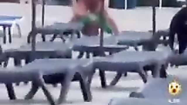 Amateur Porn - Crazy White Couple Caught Having Sex In Public - 5 image