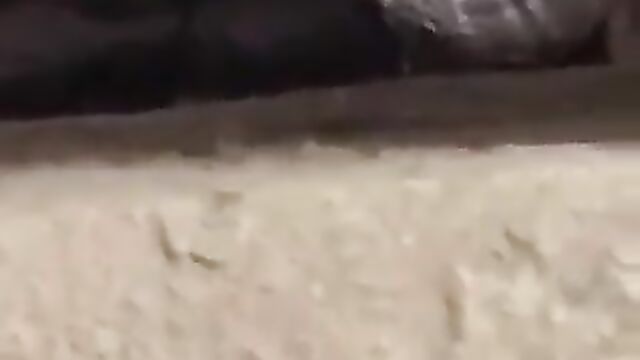 Couple Caught Having Doggy Style Sex In Public In India - 1 image