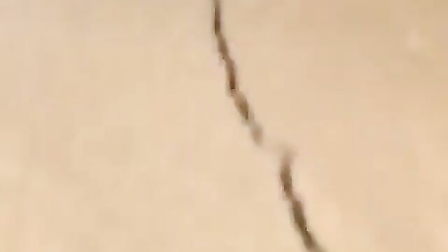 Nigerian Student With Sweet Nipples And Her Boyfriend Caught Having Sex In The Toilet (Full Video 18+) - 5 image