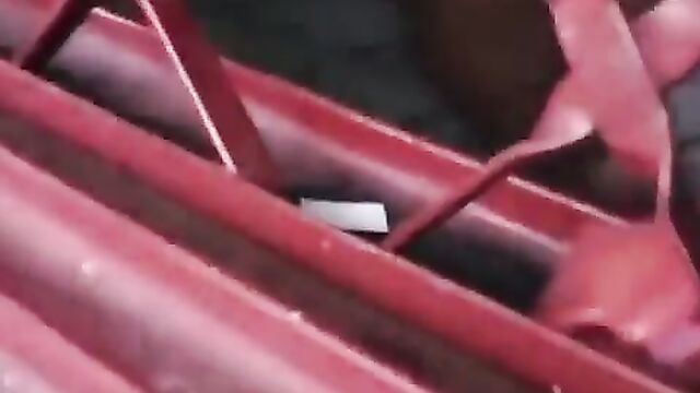 Pussy Exposed In Public As Guy Records Horny Woman With Sweet Toto Home Alone - 1 image