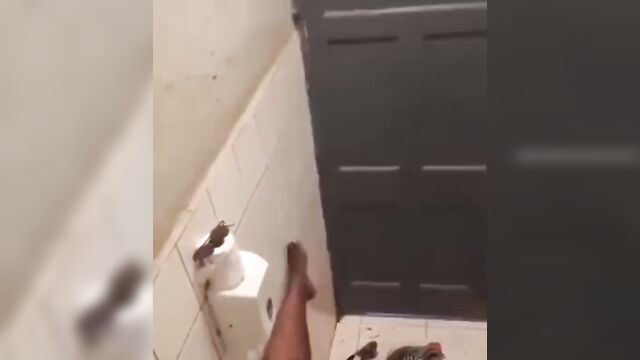 Christine Nampeera Big Nyash Ugandan DoggyStyle Leaked Full Sex Tape - 1 image