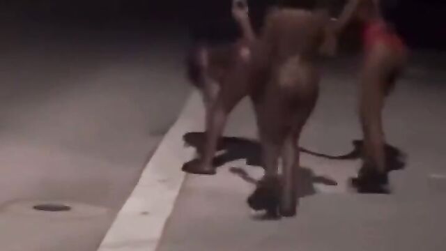 Sexy Black Women Walking Naked In Public - 5 image