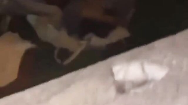 Security Caught Black Couple Having Sex In The Park In Public - 1 image