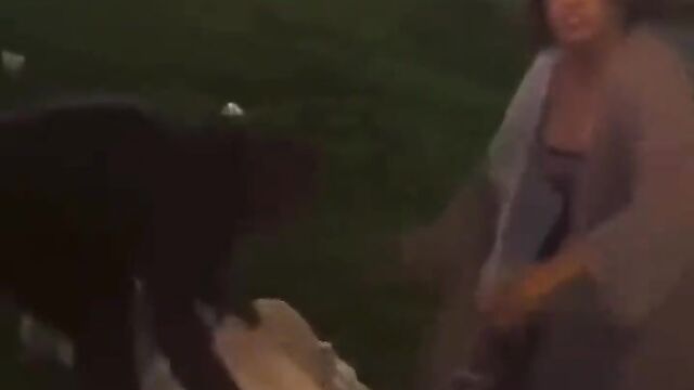 Security Caught Black Couple Having Sex In The Park In Public - 5 image