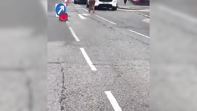 Naked Crazy Whore With Big Ass Caught In Public In UK, Obstructing Traffic - 3 image