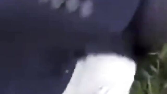 Muslim Haji Caught Having Sex With A Dog - 3 image