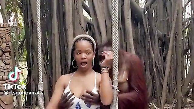 Monkey Caught Squeezing Girl’s Breasts In Public - 1 image