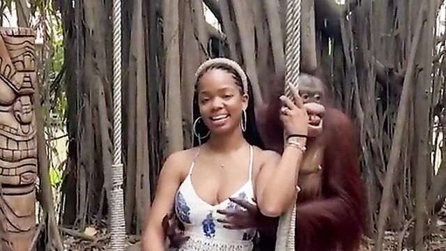 Monkey Caught Squeezing Girl’s Breasts In Public