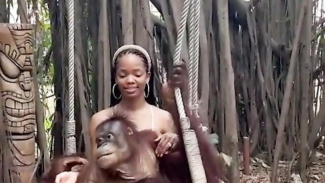 Monkey Caught Squeezing Girl’s Breasts In Public - 3 image