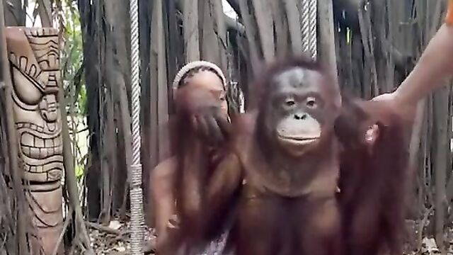 Monkey Caught Squeezing Girl’s Breasts In Public - 4 image