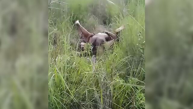 Married black man caught chopping street whore inside the bush - 5 image