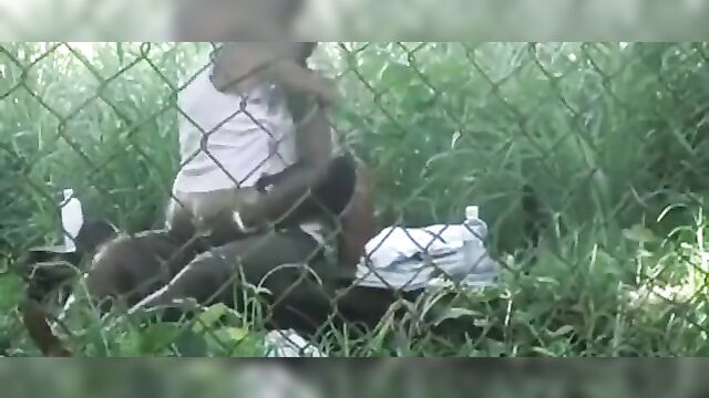 Horny Couple Caught Having Sex Inside The Bush In Public, In Limpopo, SA – Part 2 - 5 image