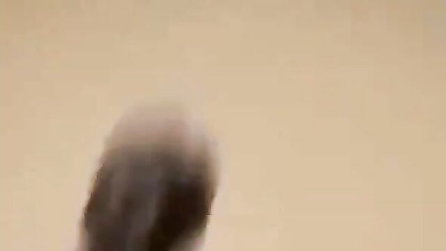 Video Of Naked Runs Girl Caught With Naked Married Man With Soft Dick In Hotel Room - 1 image