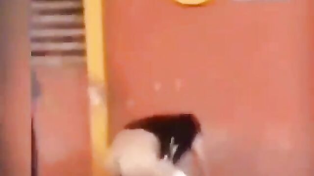 Wife strips husband in public and grabs his private part while fighting him over side chick! - 4 image