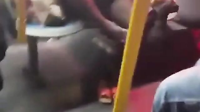 Woman Caught Recording Her Pussy On A Train In Public