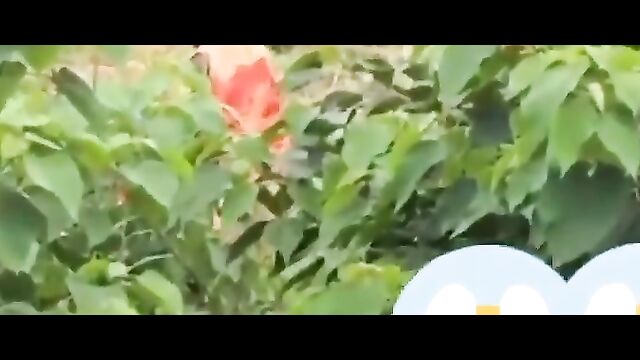 Native kinky doctor caught having sex with his client inside the bush - 1 image