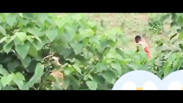 Native kinky doctor caught having sex with his client inside the bush - 3 image