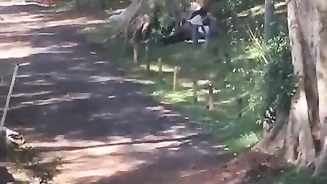 African couple caught and beaten for having sex in public under a tree – Part 1