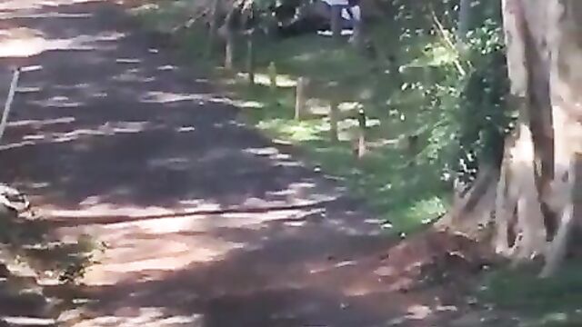 African couple caught and beaten for having sex in public under a tree – Part 1 - 4 image