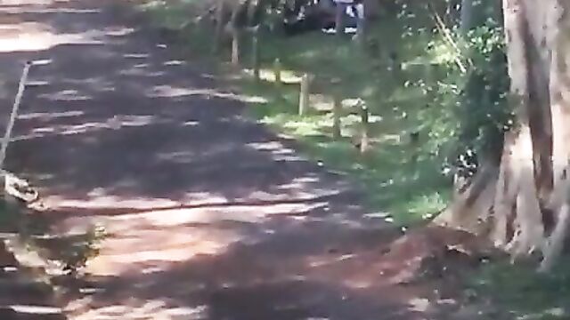 African couple caught and beaten for having sex in public under a tree – Part 1 - 5 image