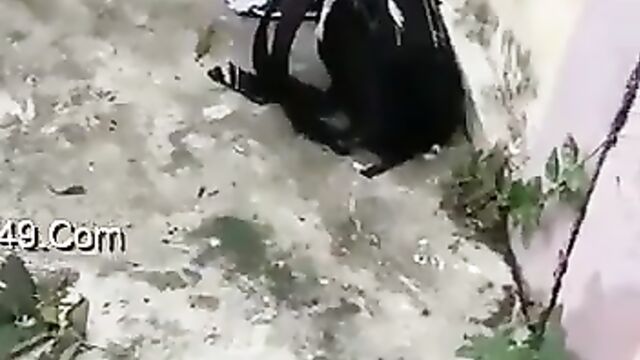 Horny couple caught having sex outdoors - 5 image