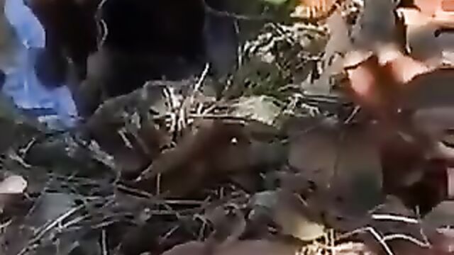 Naked ebony couple caught having sex in the bush in public without giving a damn - 5 image