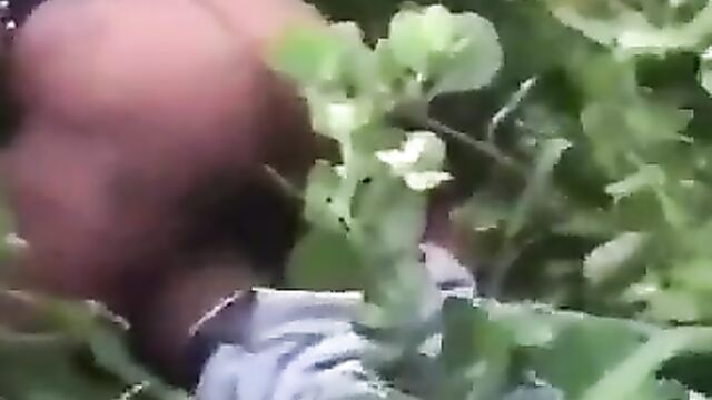 African Girl With Big Ass Caught Chopping Boyfriend In The Bush - 1 image
