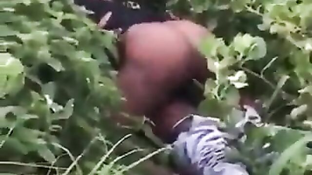 African Girl With Big Ass Caught Chopping Boyfriend In The Bush