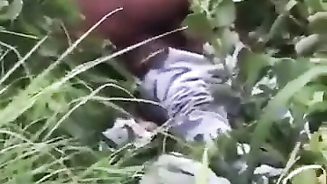 African Girl With Big Ass Caught Chopping Boyfriend In The Bush - 3 image