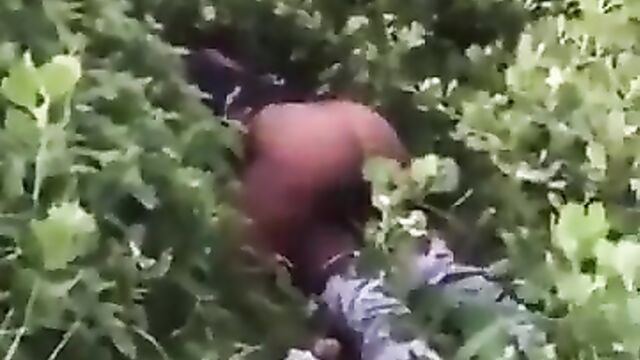 African Girl With Big Ass Caught Chopping Boyfriend In The Bush - 5 image
