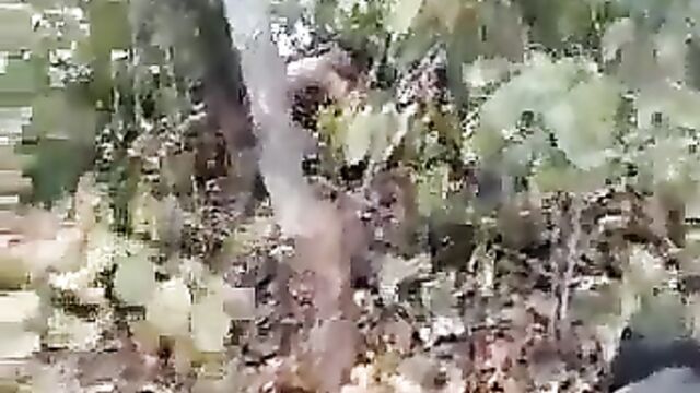 Married man caught having sex with side chick in the bush - 1 image