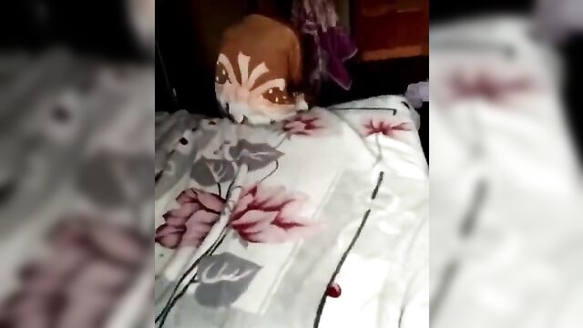 Two students were caught having sex on a teacher's bed - 3 image