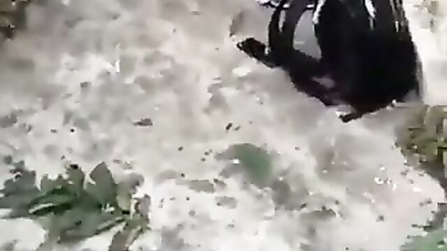 Caught In The Act! Couple Having Discreet Sex At The Backyard In Public - 4 image