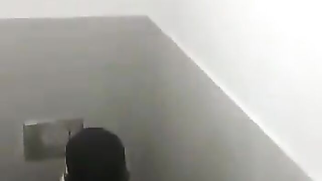 Another SA couple caught bonking in the toilet - 1 image