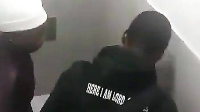 Another SA couple caught bonking in the toilet - 3 image