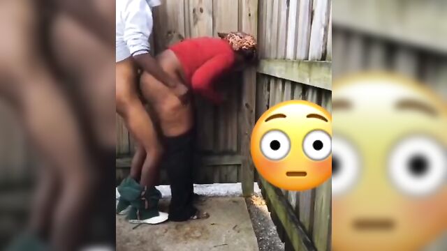 Horny couple caught having sex in an animal house - 3 image