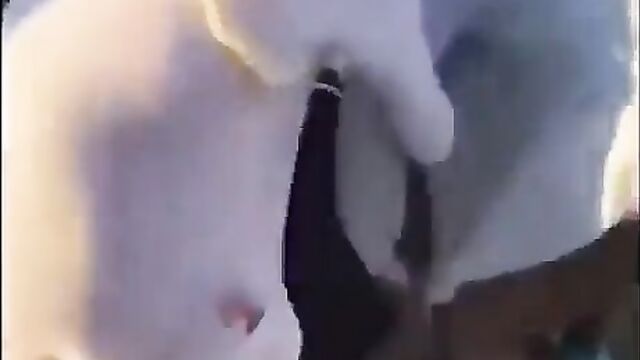 2 women caught fighting, exposing ass in public