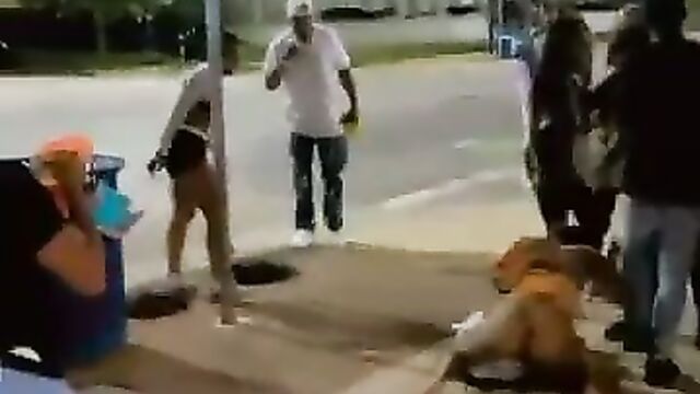 Ass out as sexy girls fight in public - 5 image
