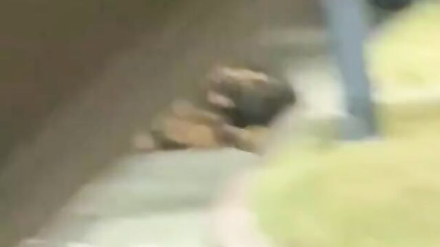 Ladies fight, with ass showing, over a rich man - 5 image