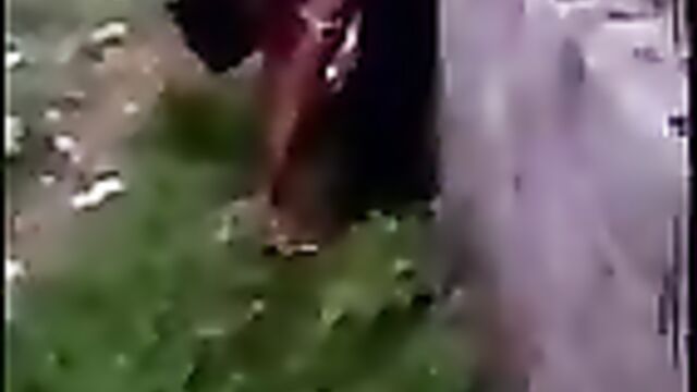 Crazy couple ‘playing love’ in public - 1 image